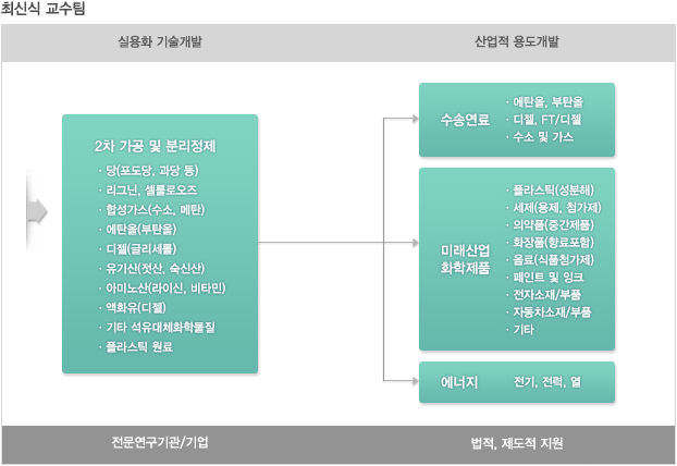 최식식교수팀